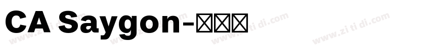 CA Saygon字体转换